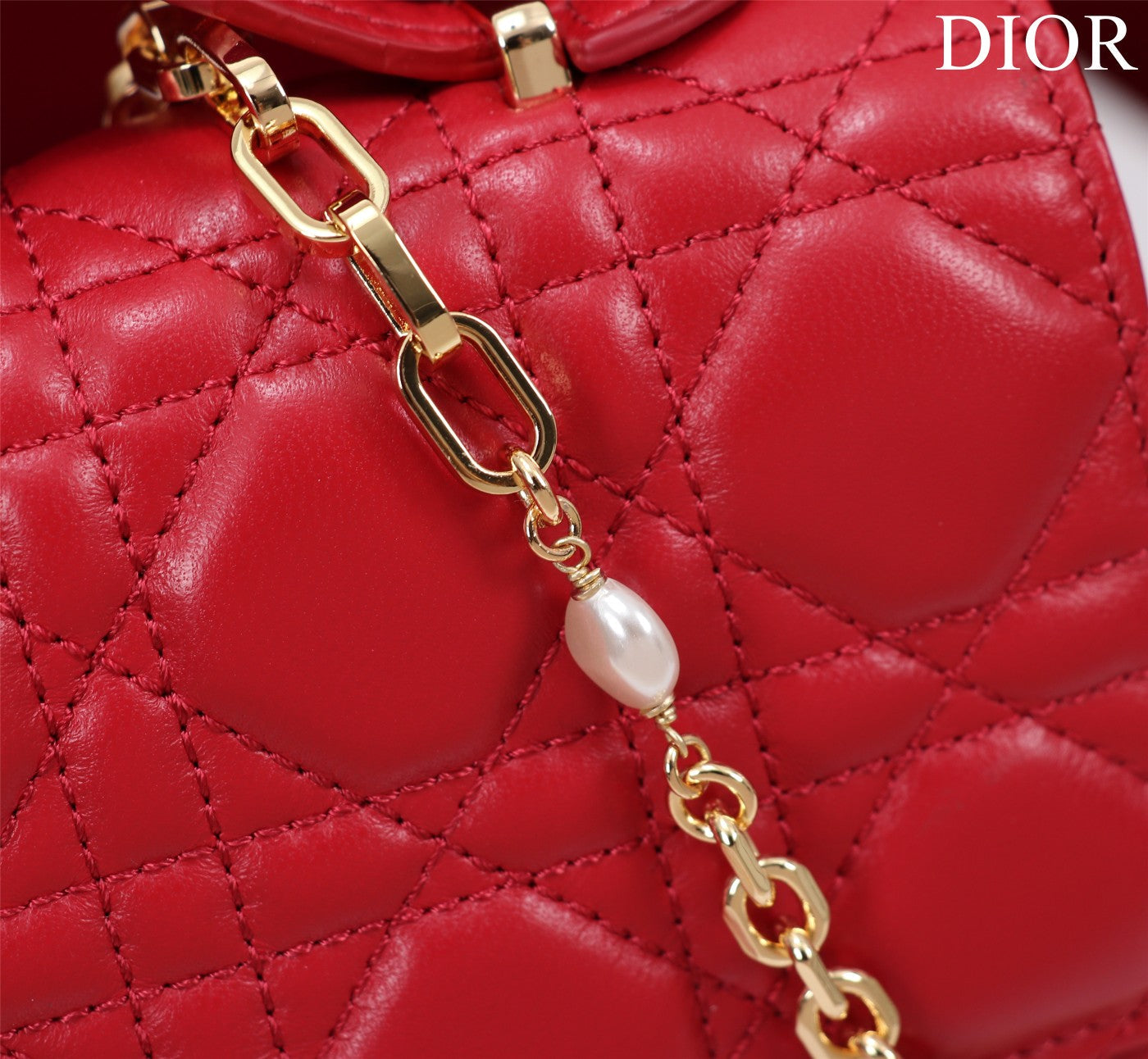 my cd mini 21 red lambskin