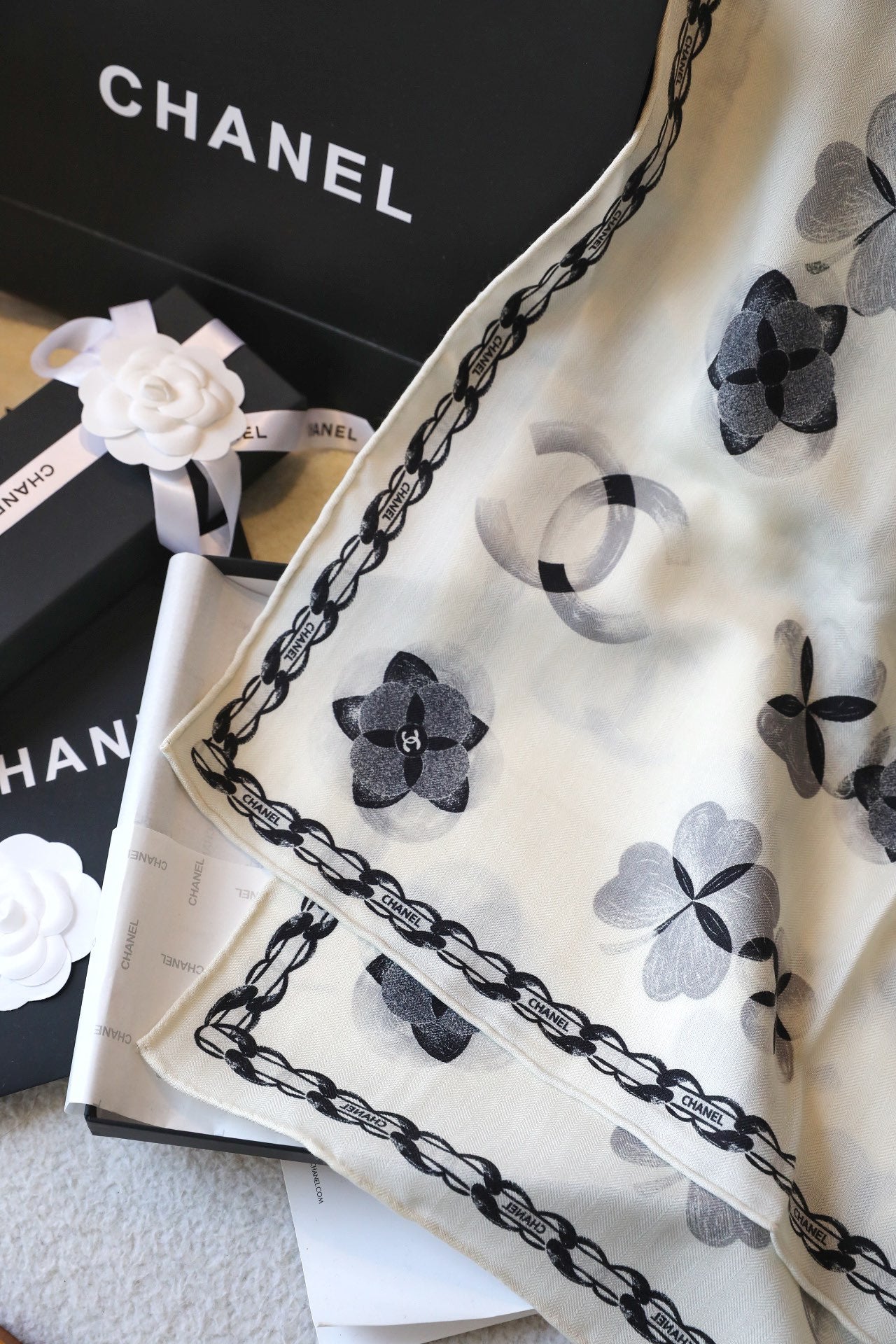 CC Scarf 180 CM In White Black Cashmere Silk 401133