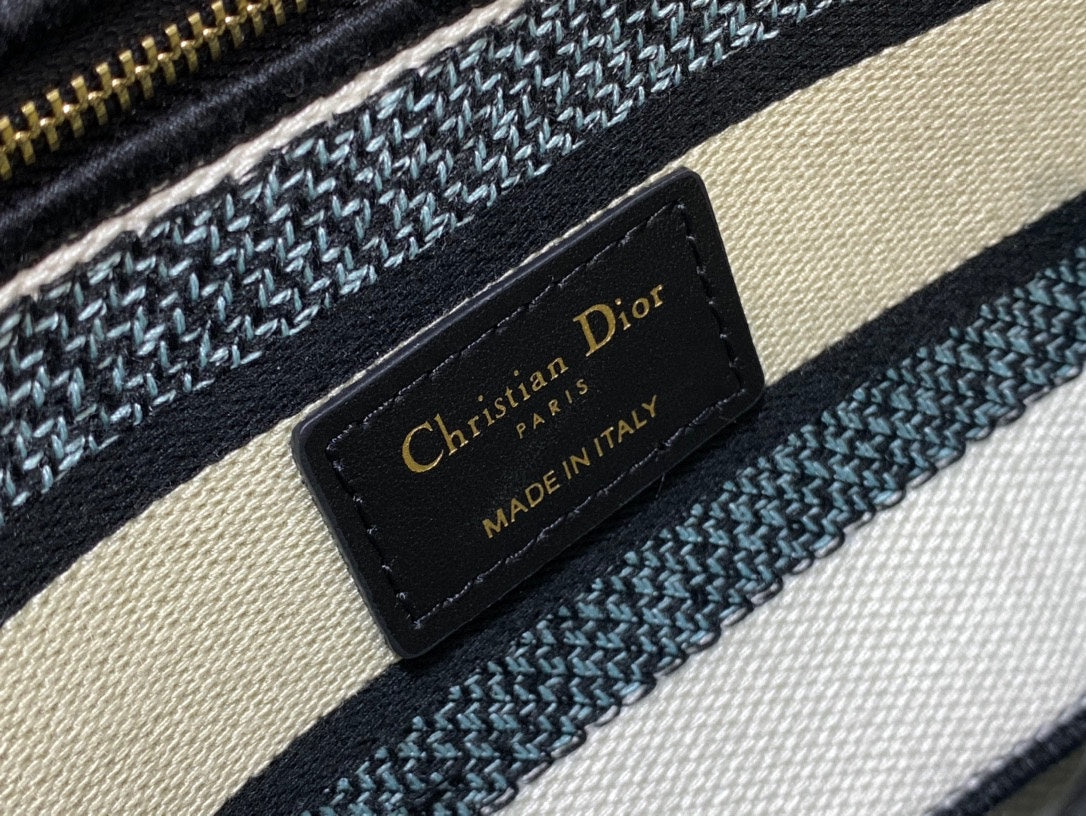 CD Travel Star Green 24 Lady Dior Bag Canvas 336666