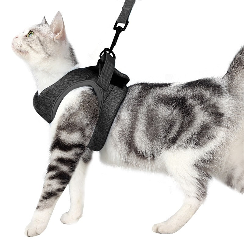 Harnais + Laisse design Velcro anti-évasion réglable