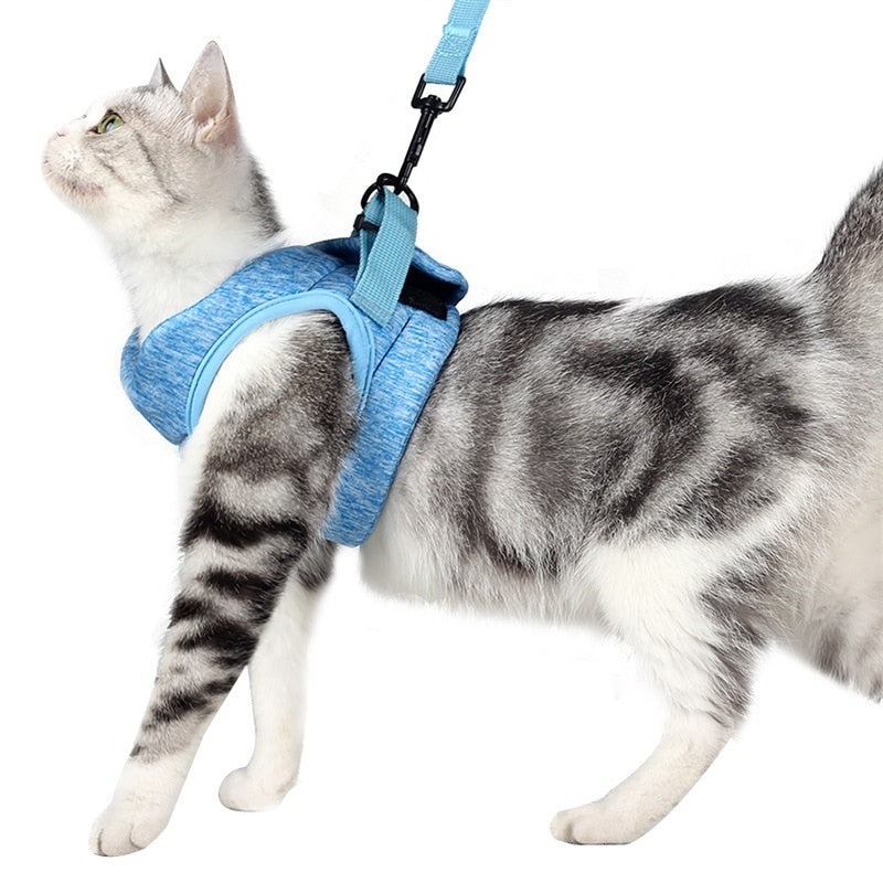 Harnais + Laisse design Velcro anti-évasion réglable