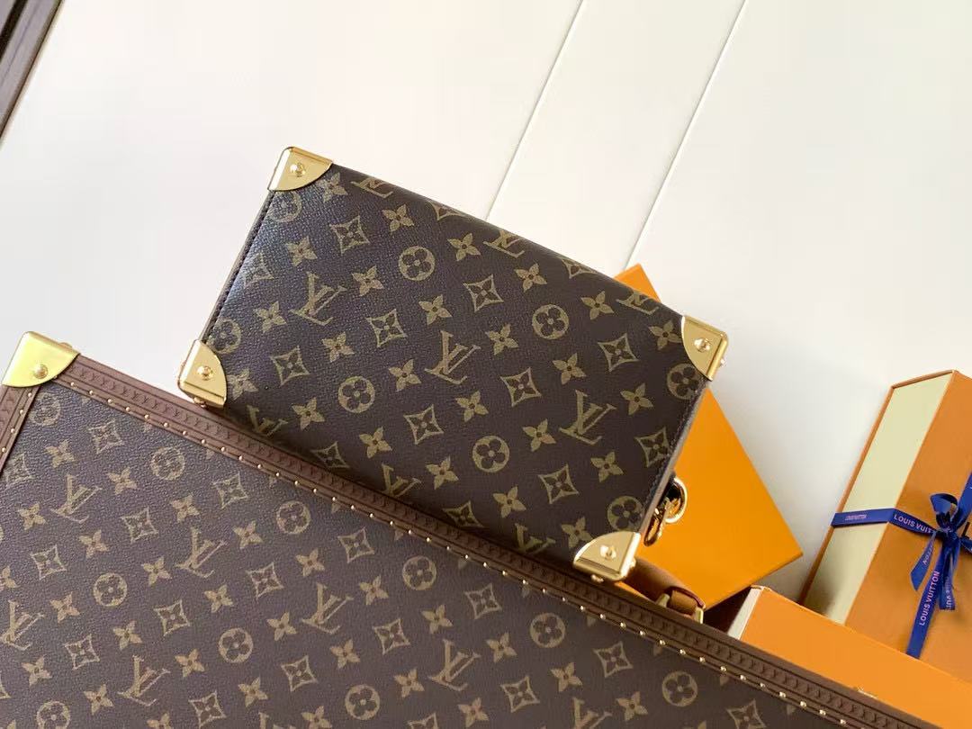 LV Speedy Trunk Bag Black Brown Cowhide Canvas