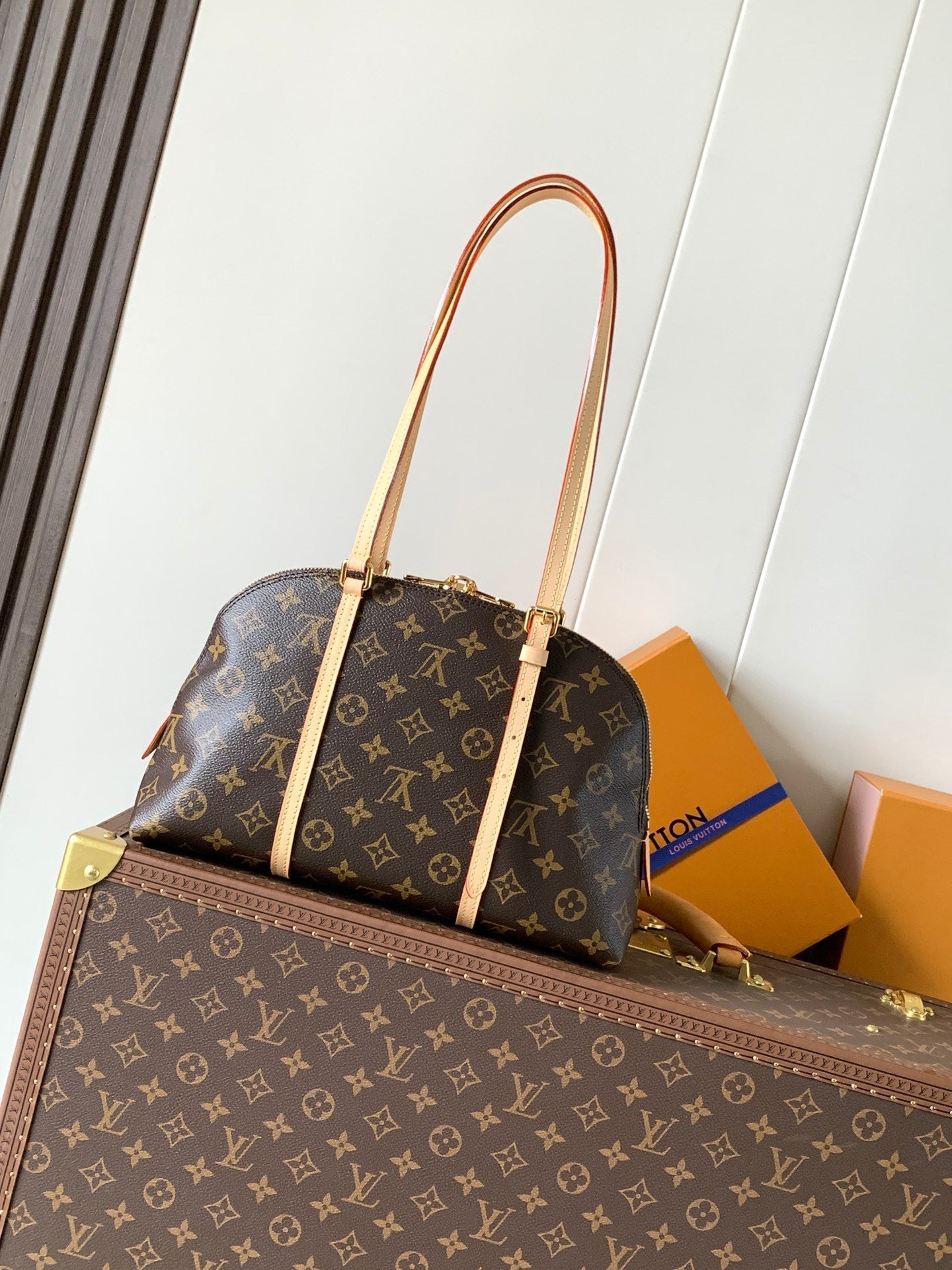 Louis Vuitton 2026 Squire East West Bag 30cm Brown Beige Canvas Leather