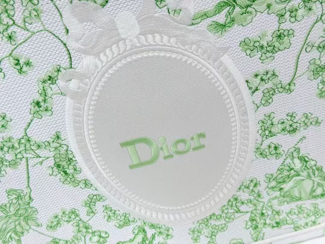 Dior 2026 Book Tote 41cm with Strap Green White Canvas