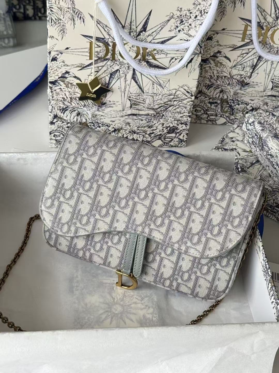 Dior 2026 Saddle Pouch 21.5cm with Chain Gray Dior Oblique Jacquard