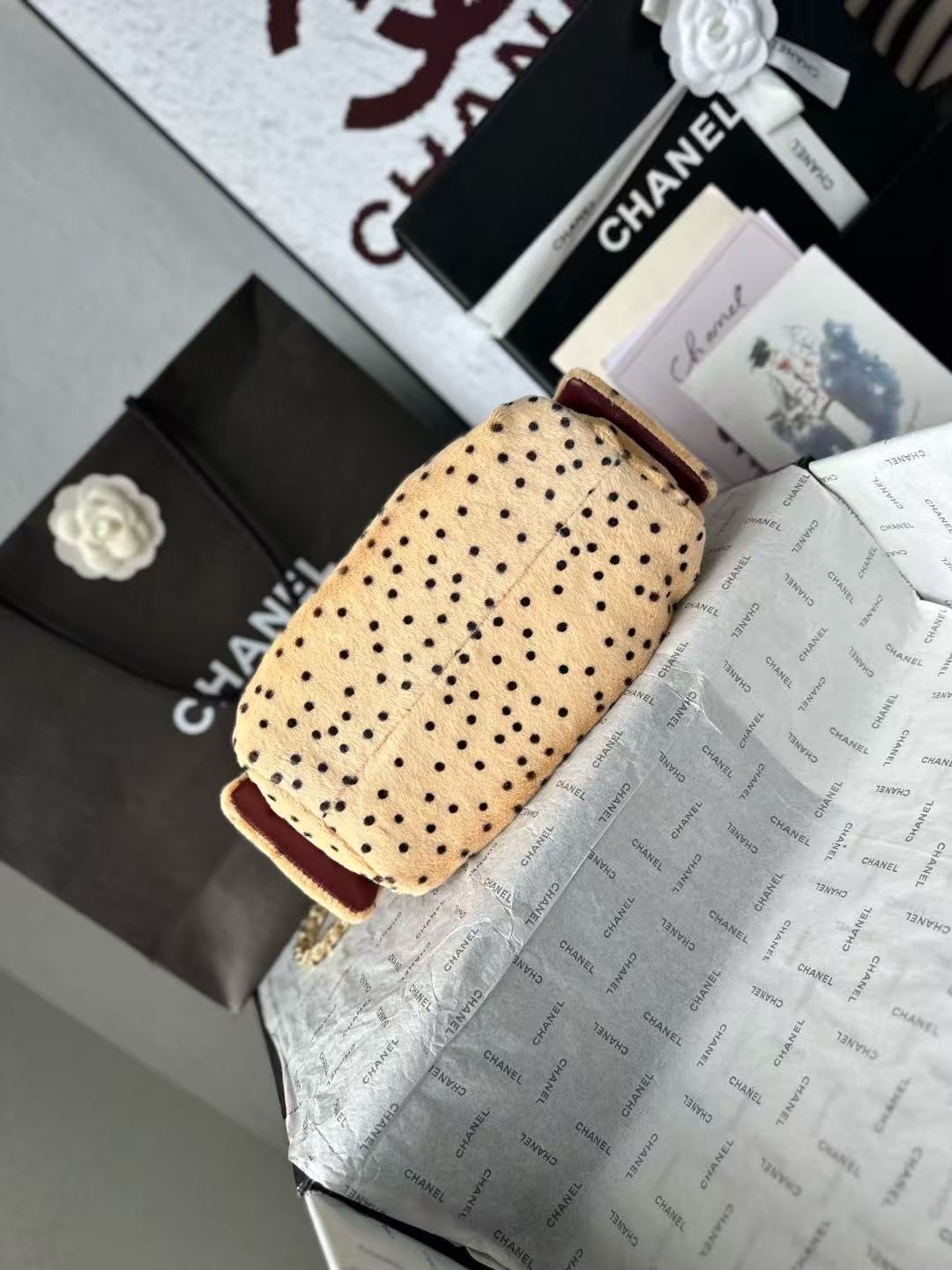 Chanel 2026 Hobo Bag 22cm Beige Black Plush Leather