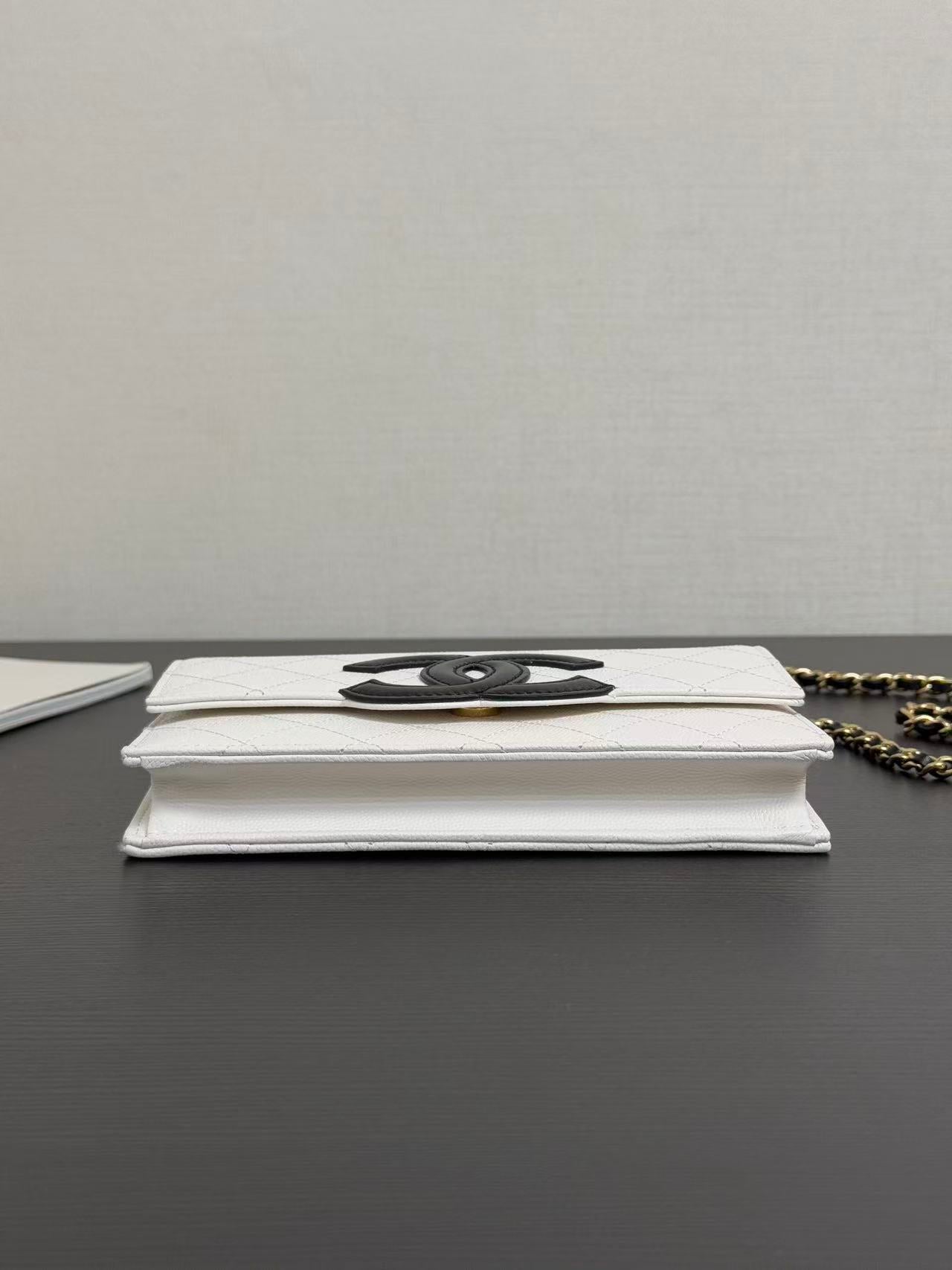Chanel 2026 Wallet on Chain 19cm Lambskin