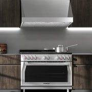 Forza Professional Wall-Mounted Range Hood