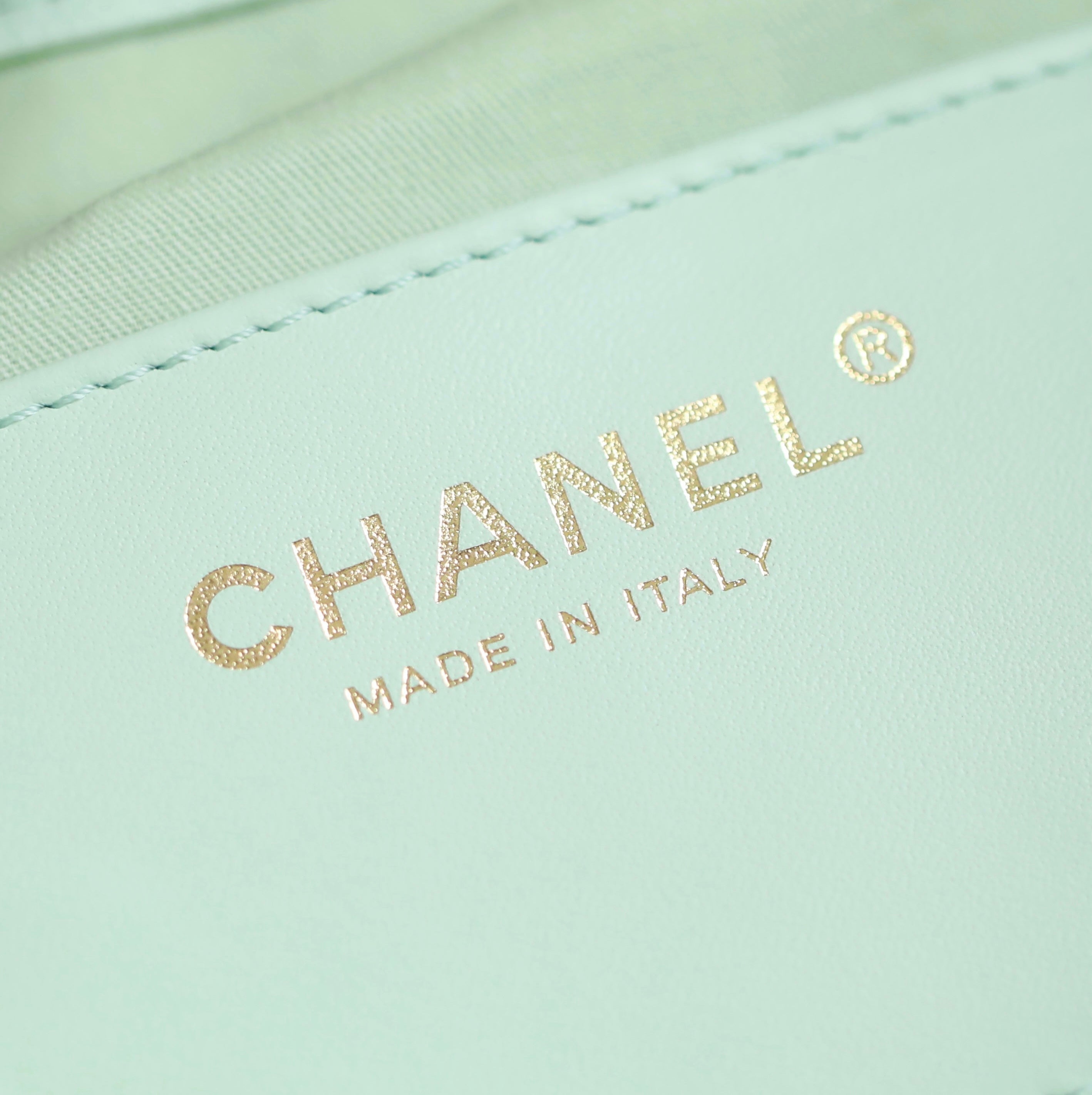 Chanel 2025 Hobo Bag 30cm Light Green Caviar Leather 338737