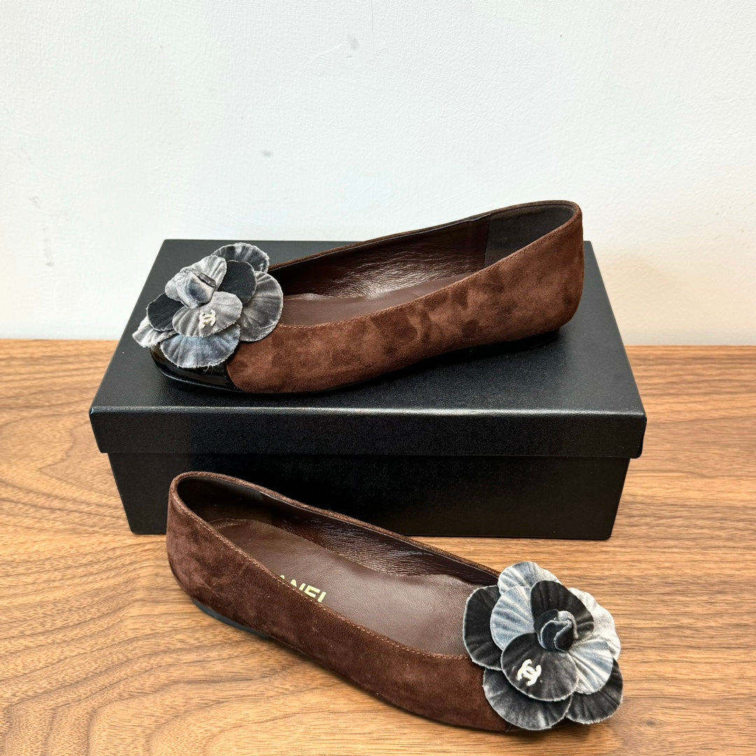 CC Ballet Flats Dark Brown With Camellia Grey Suede