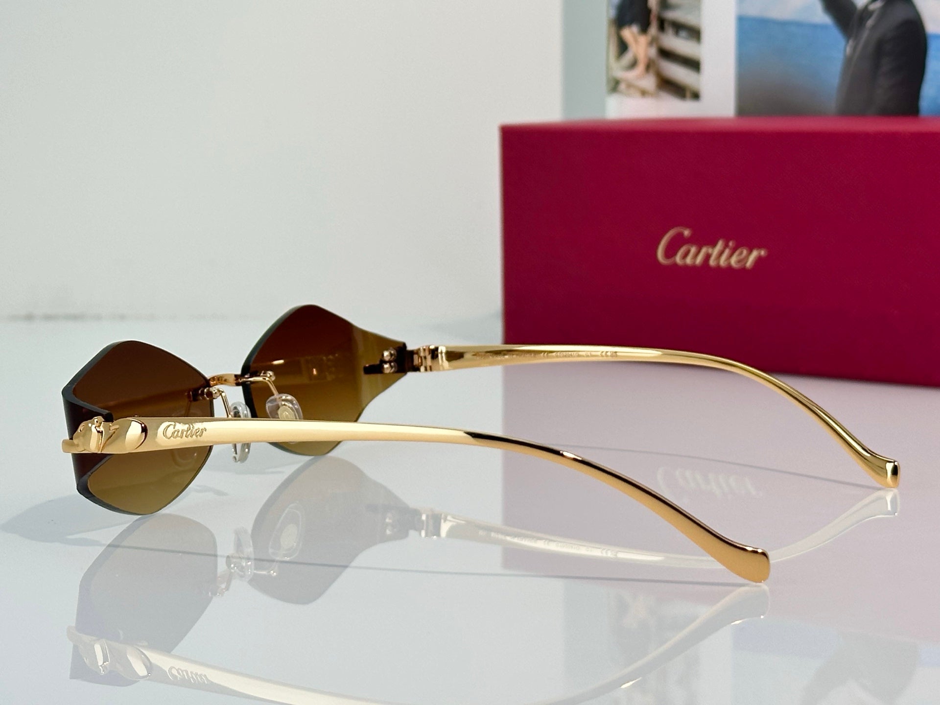 Cartier Sunglasses 2026 CT020410