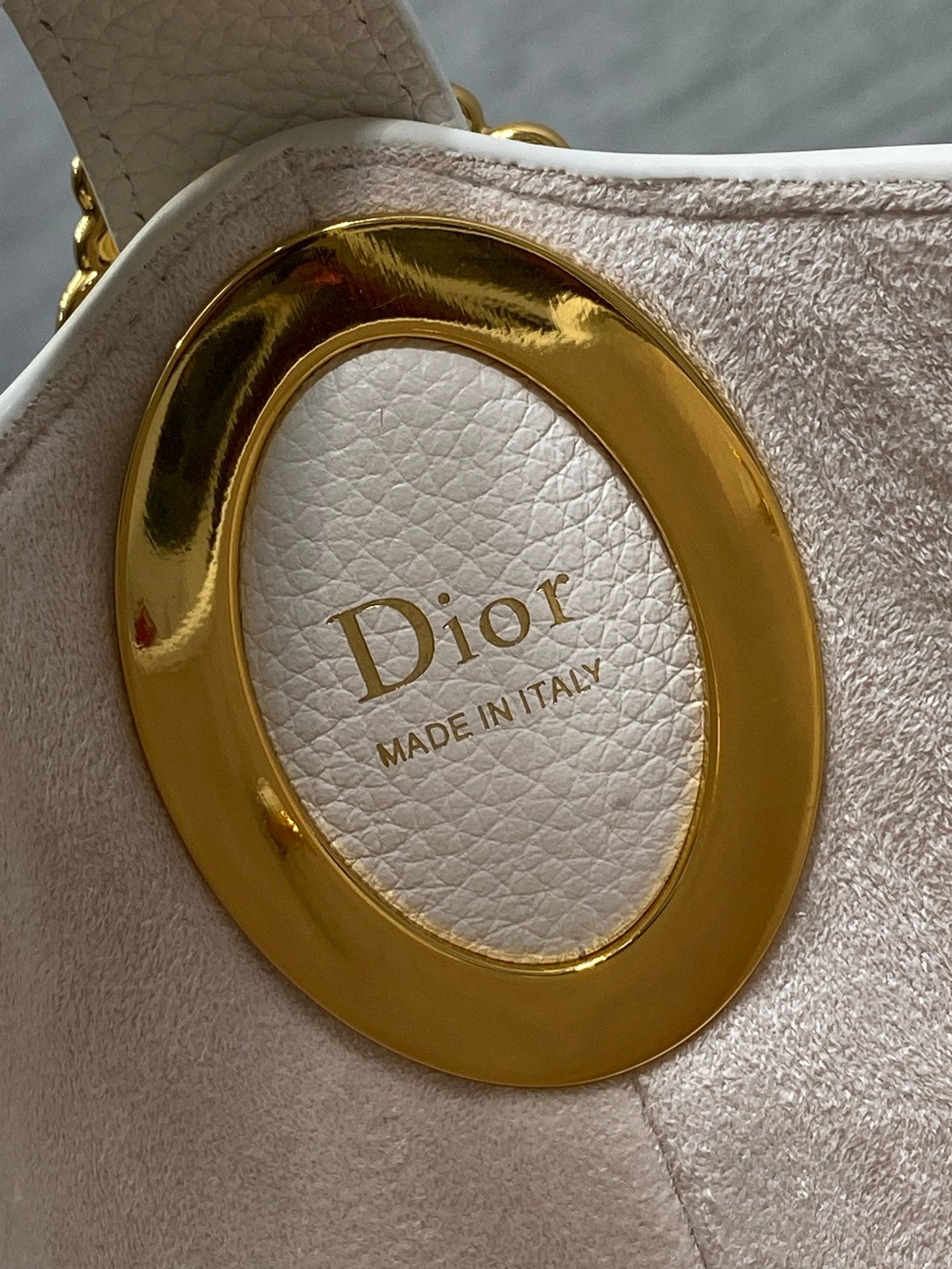 Dior 2026 Medaillon Bucket Bag 26.5cm Grained Cowhide 289070
