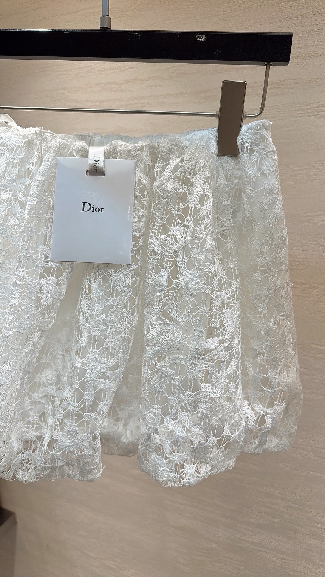 Dior 2026 Lace Skirt 399924
