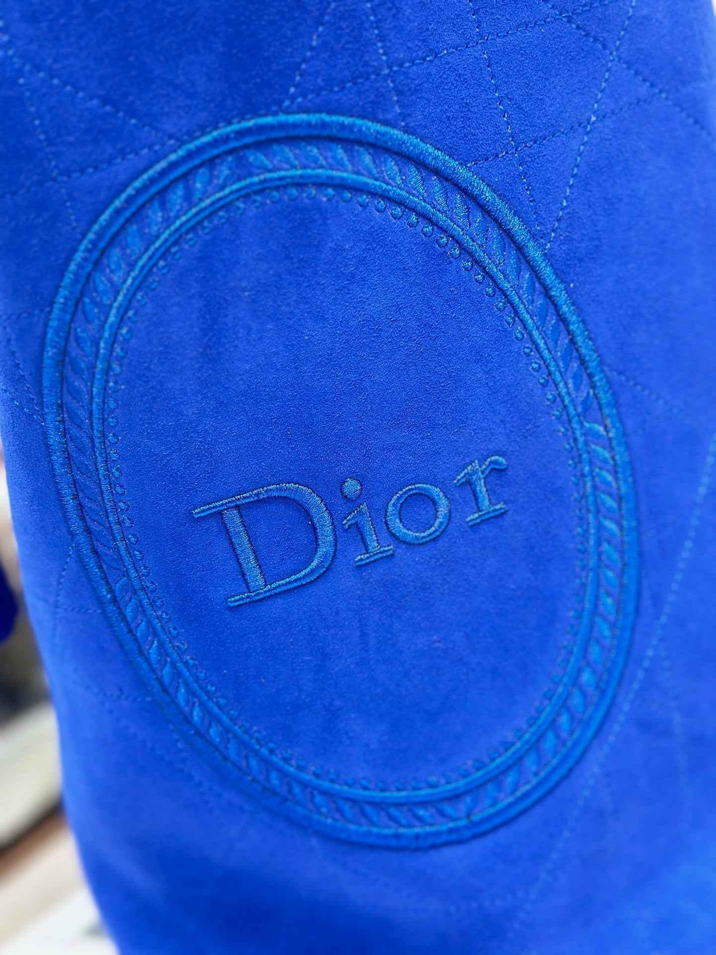 Dior 2026 Medaillon Bucket Bag Suede and Leather 159057