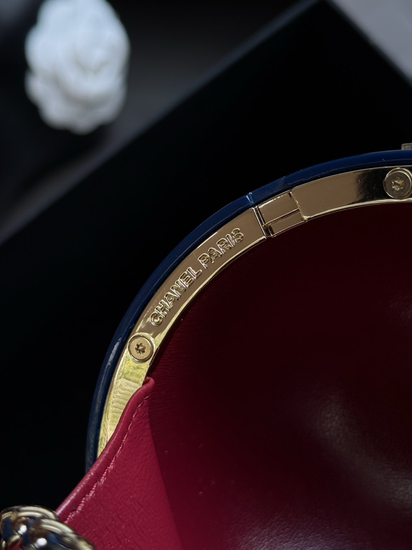Chane 2026 Minaudiere Constellation Globe Bag