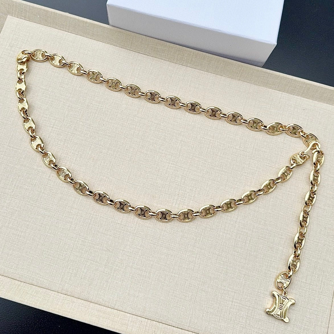 Celine 2026 Gold Metallic Belt